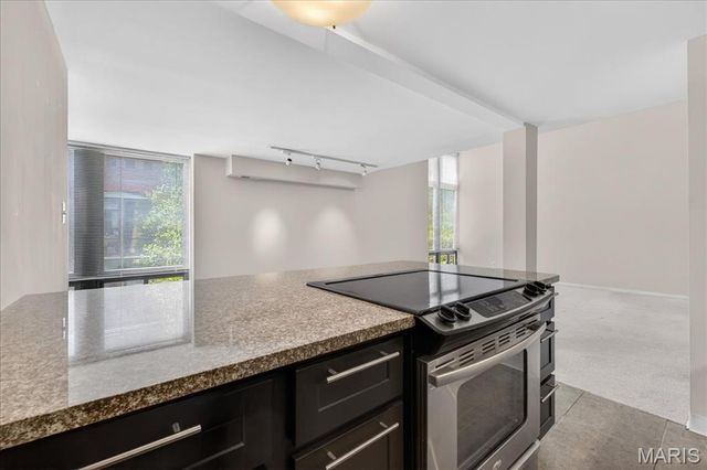 1523 S 10th Street 215, St Louis, MO 63104