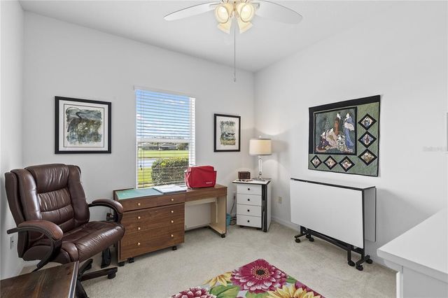 29432 COHARIE LOOP, San Antonio, FL 33576