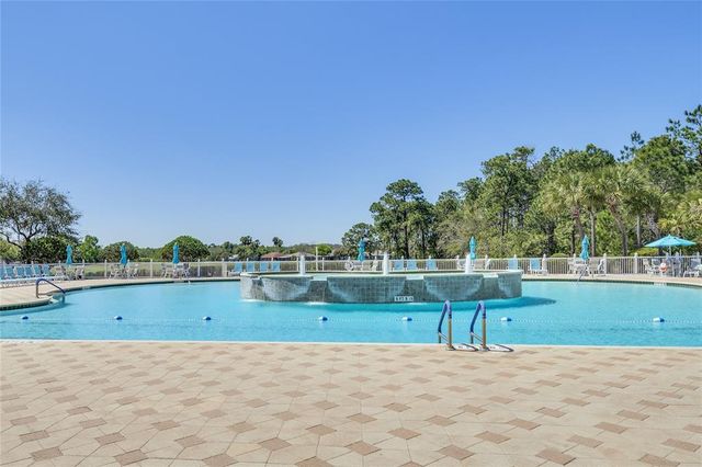 29432 COHARIE LOOP, San Antonio, FL 33576