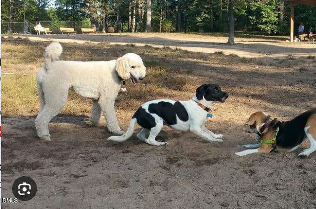 408 Lena Circle, Chapel Hill, NC 27516