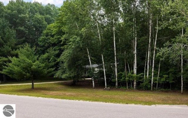 12050 Cabin Lane, Rapid City, MI 49676