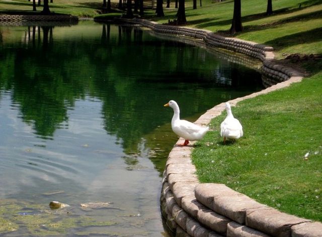 813 Via Balboa, Mesquite, TX 75150