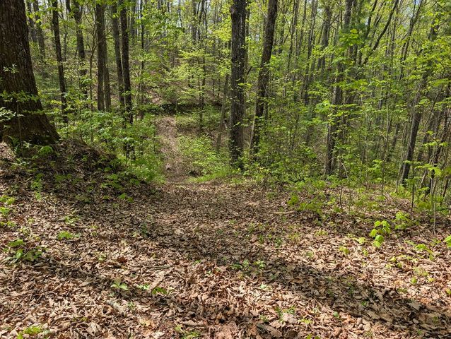 348 Atali Circle, Murphy, MD 20906