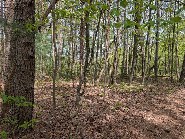 348 Atali Circle, Murphy, MD 20906