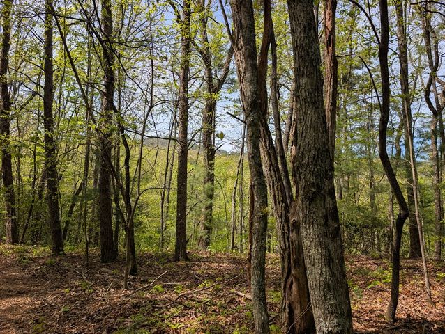 348 Atali Circle, Murphy, MD 20906
