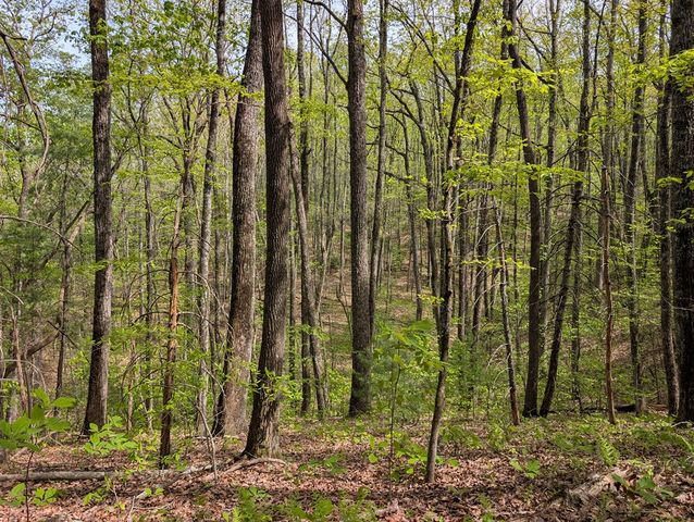 348 Atali Circle, Murphy, MD 20906