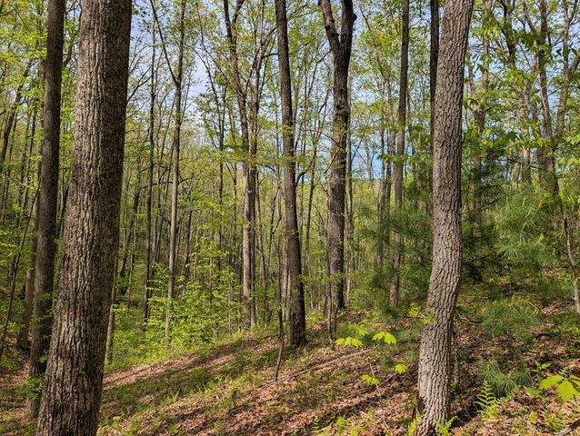 348 Atali Circle, Murphy, MD 20906