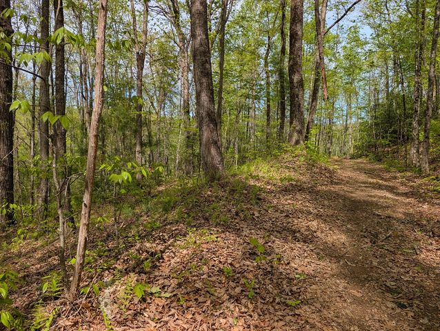 348 Atali Circle, Murphy, MD 20906