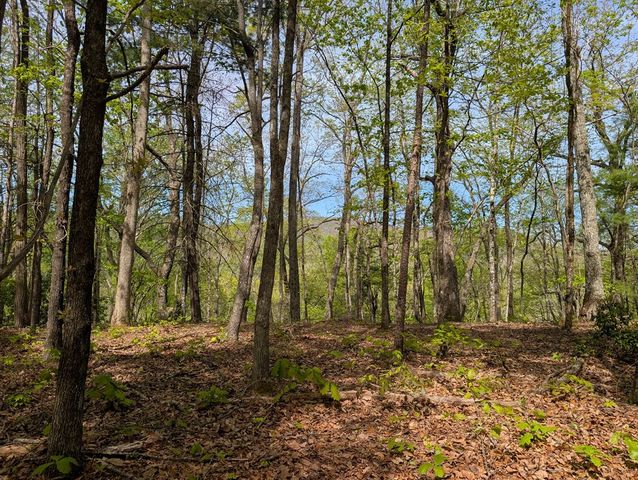 348 Atali Circle, Murphy, MD 20906