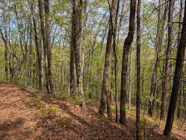 348 Atali Circle, Murphy, MD 20906