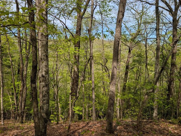 348 Atali Circle, Murphy, MD 20906