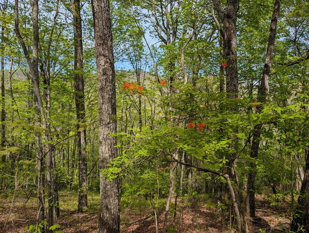 348 Atali Circle, Murphy, MD 20906