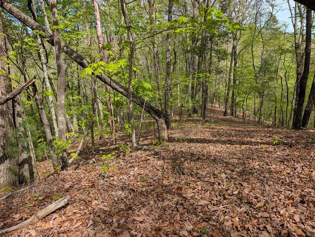 348 Atali Circle, Murphy, MD 20906