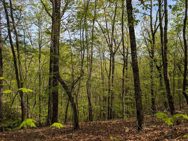 348 Atali Circle, Murphy, MD 20906
