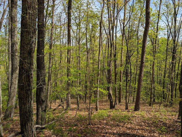 348 Atali Circle, Murphy, MD 20906