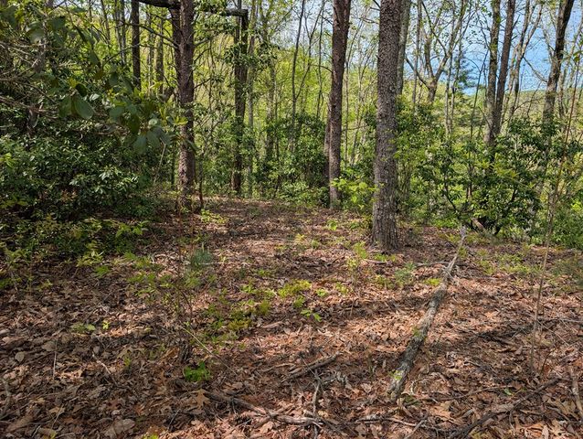 348 Atali Circle, Murphy, MD 20906