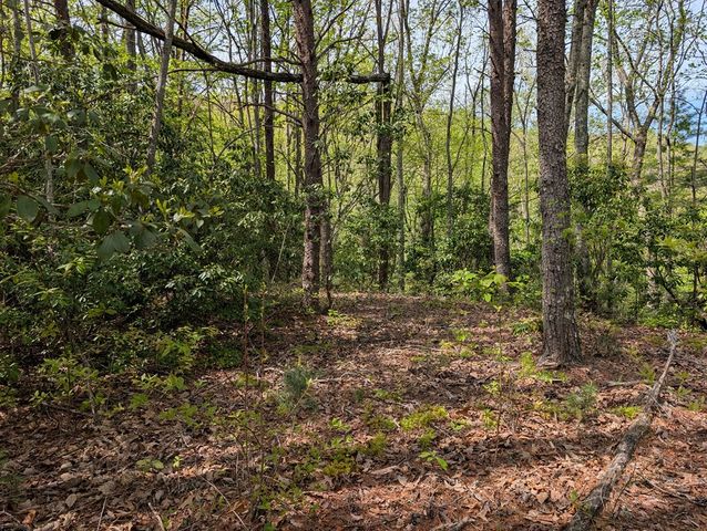 348 Atali Circle, Murphy, MD 20906