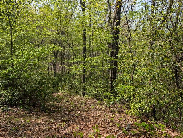 348 Atali Circle, Murphy, MD 20906