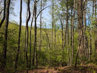348 Atali Circle, Murphy, MD 20906