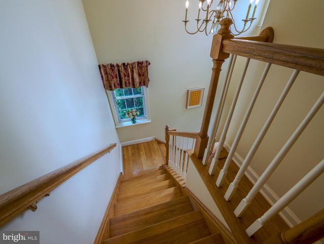 226 E BENEDICT AVE, Havertown, PA 19083