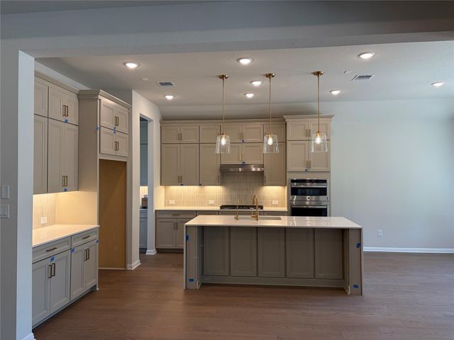 313 Knockout Rose DR, San Marcos, TX 78666