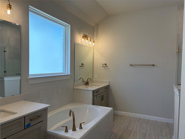 313 Knockout Rose DR, San Marcos, TX 78666