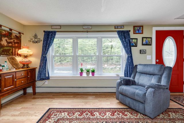 196 Clothespin Bridge Road, Webster, NH 03303