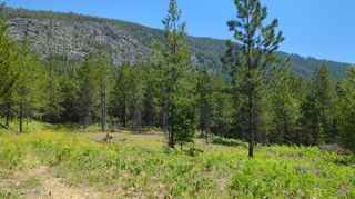 NNA Log Cabin Rd, Bonners Ferry, ID 83805