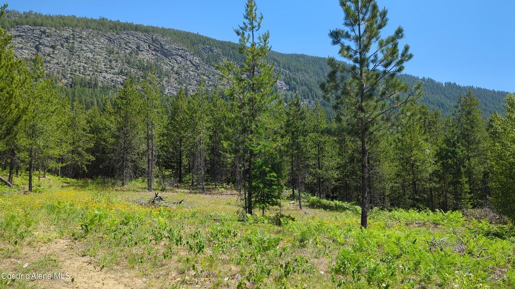 NNA Log Cabin Rd, Bonners Ferry, ID 83805