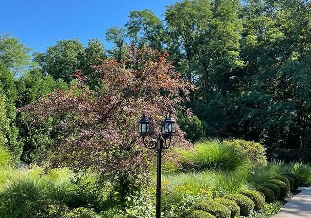 245 W Joliet Street 205, Schererville, IN 46375