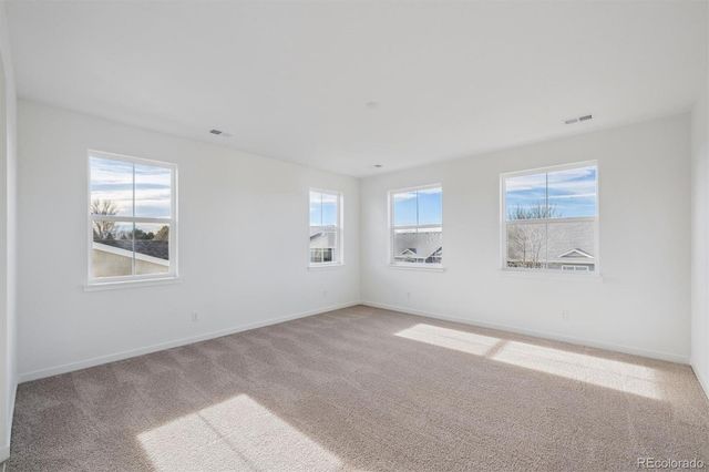 3801 Emerald Shore Circle, Loveland, CO 80538