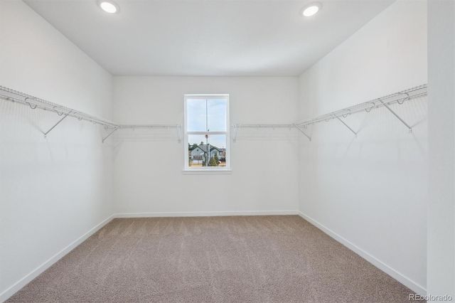 3801 Emerald Shore Circle, Loveland, CO 80538