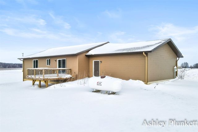 12189 Beauterra Lane, Middleville, MI 49333