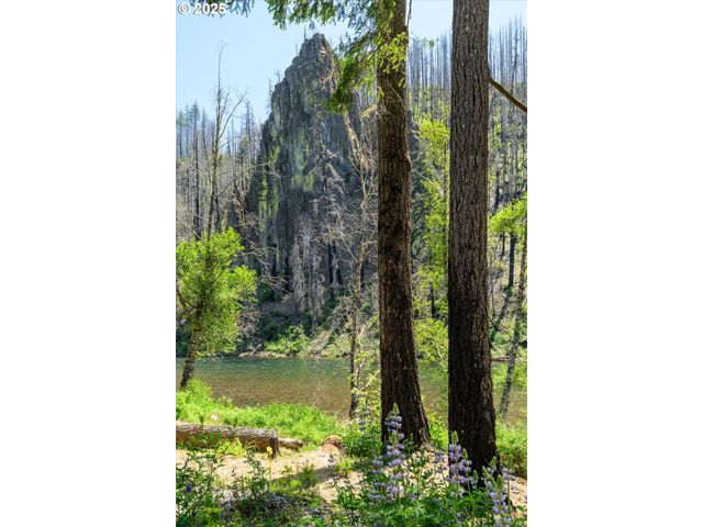 49348 MCKENZIE Hwy, Vida, OR 97488