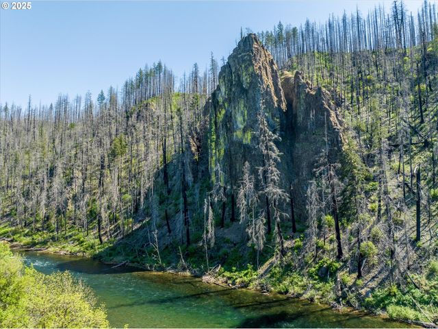 49348 MCKENZIE Hwy, Vida, OR 97488