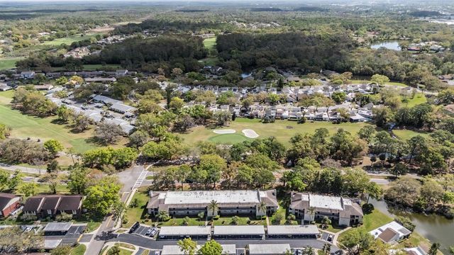 124 NINA WAY 24, Oldsmar, FL 34677