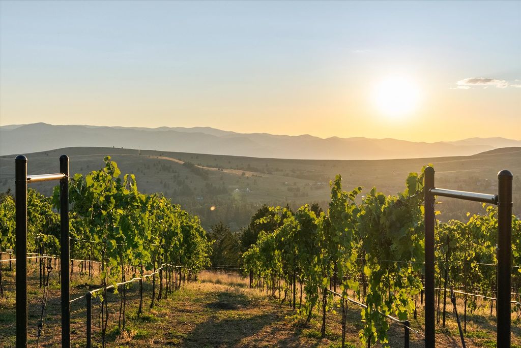 2722 Contour Road, Missoula, MT 59802 photo 5