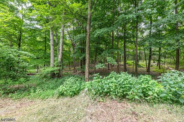 176 Henderson Rd, West Milford Twp., NJ 07460