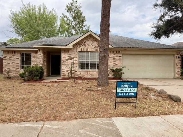 19114 Indian Grass Drive, Katy, TX 77449