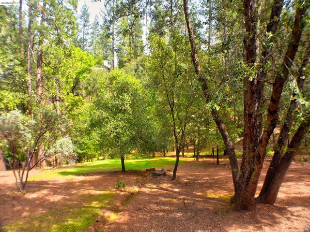 12293 Tower Peak Ct, Groveland, CA 95321