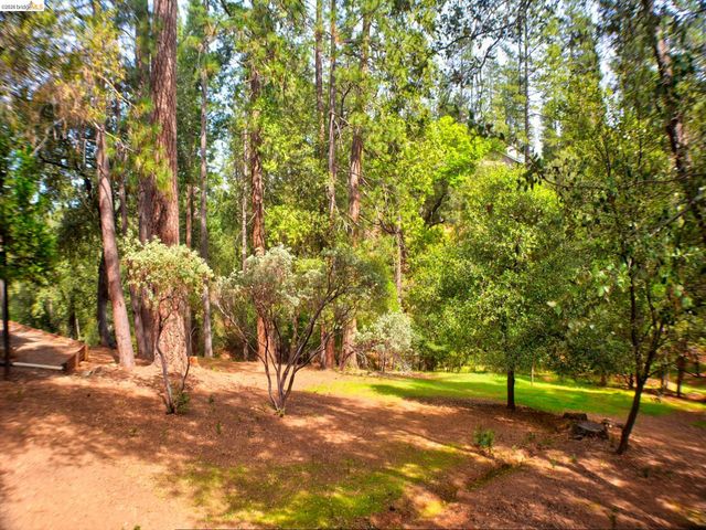 12293 Tower Peak Ct, Groveland, CA 95321