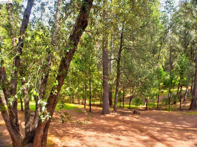 12293 Tower Peak Ct, Groveland, CA 95321