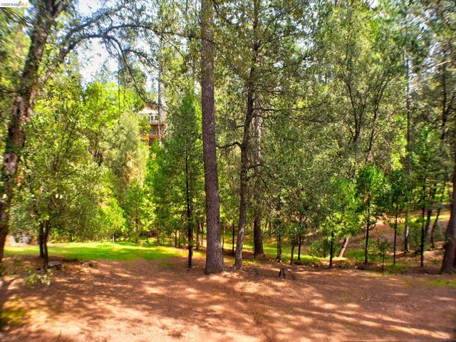 12293 Tower Peak Ct, Groveland, CA 95321