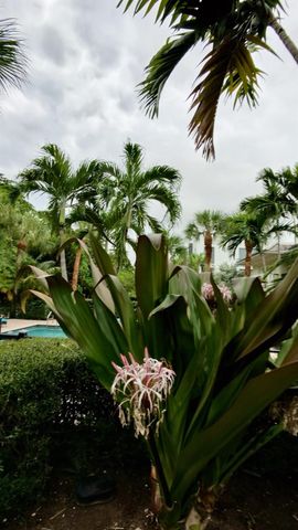 1000 Palm Trail 6, Delray Beach, FL 33483