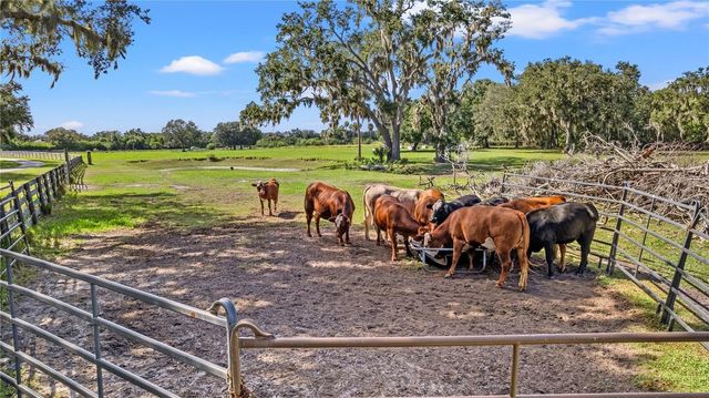 7000 US-19, Terra Ceia, FL 34250