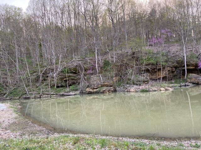 422 Kirk Lane, Tollesboro, KY 41189