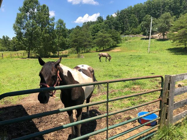 422 Kirk Lane, Tollesboro, KY 41189