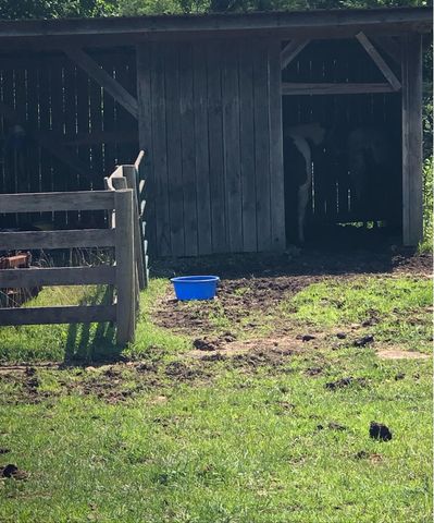 422 Kirk Lane, Tollesboro, KY 41189