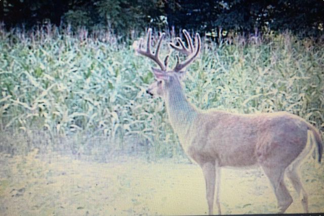 422 Kirk Lane, Tollesboro, KY 41189