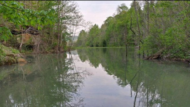 422 Kirk Lane, Tollesboro, KY 41189